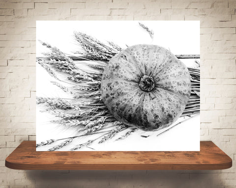 Gourd Fall Photograph Black White