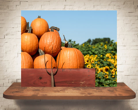 Pumpkin and Sunflower Fall Photograph