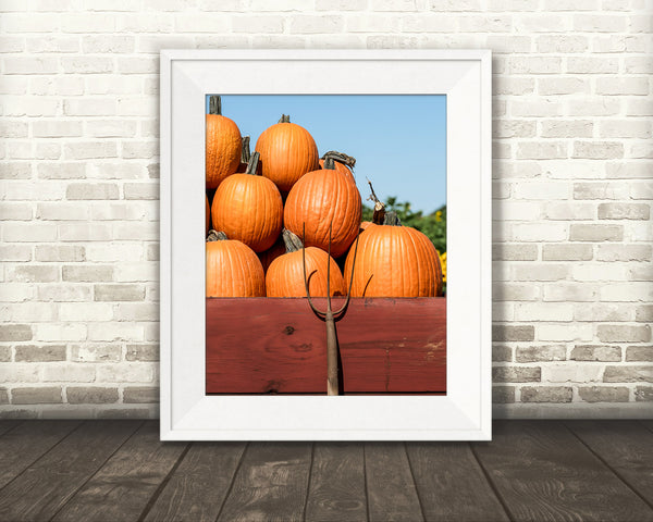 Pumpkin Fall Photograph