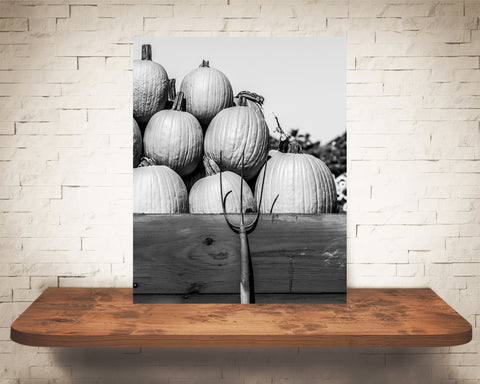 Pumpkin Fall Photograph Black White