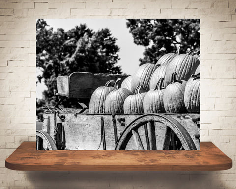 Pumpkin Wagon Fall Photograph Black White