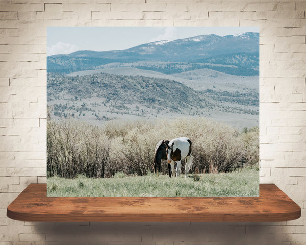 Horse Mountains Photograph