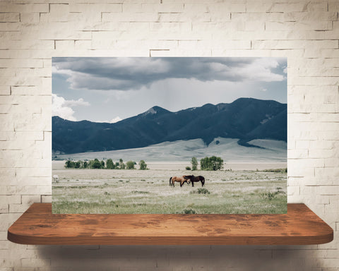 Horse Mountains Photograph