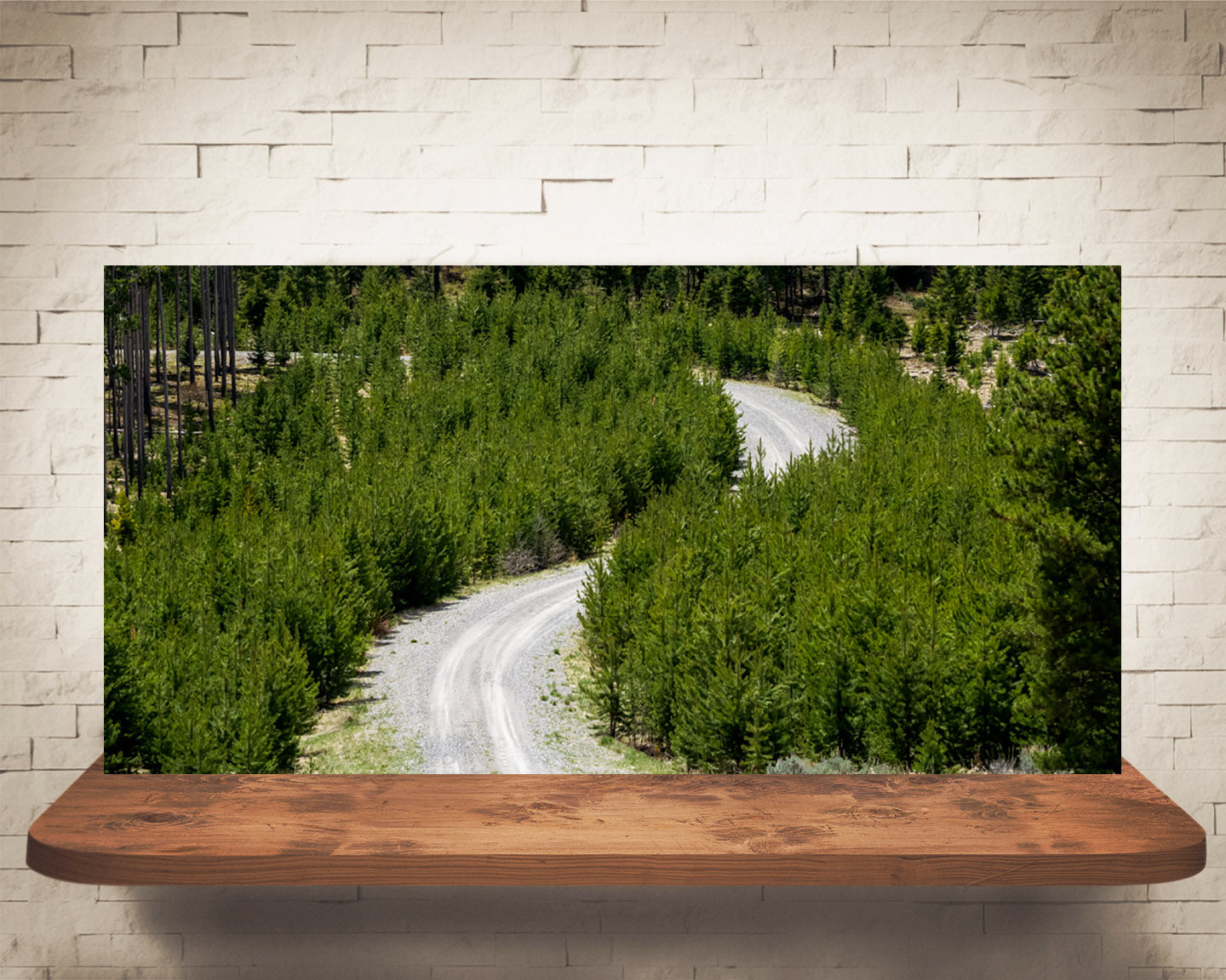 Mountain Road Photograph