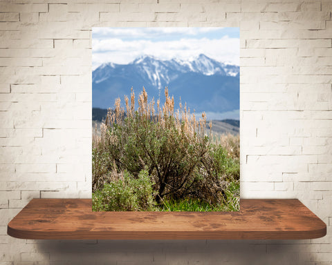 Sagebrush Mountain Photograph