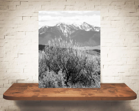 Sagebrush Mountain Photograph Black White