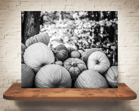 Pumpkin Photograph Black White