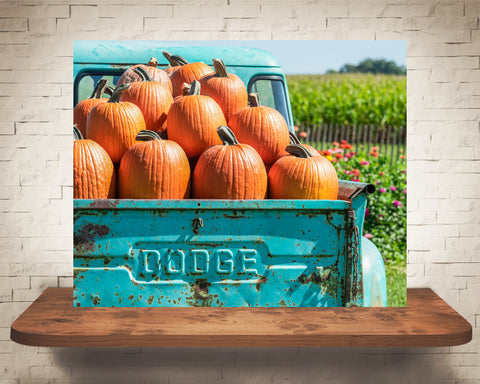 Blue Truck Pumpkins Photograph