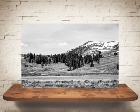 Yellowstone Photograph Black White