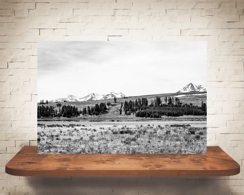 Yellowstone Photograph Black White