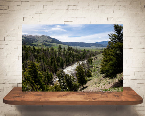 Yellowstone Photograph