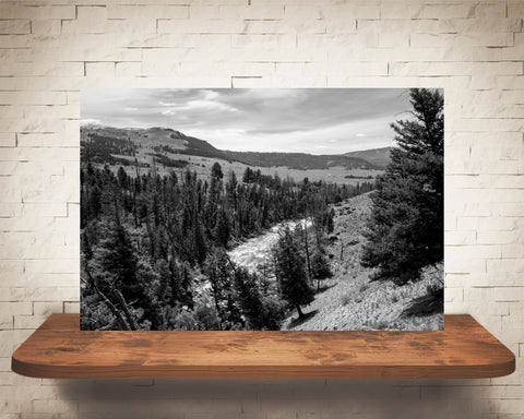 Yellowstone Photograph Black White