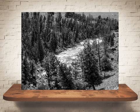 Yellowstone Photograph Black White