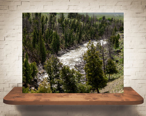 Yellowstone Photograph