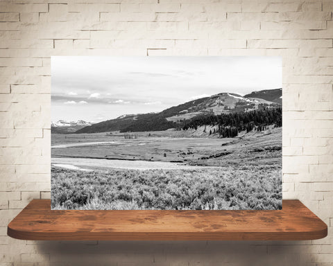 Yellowstone River Photograph Black White