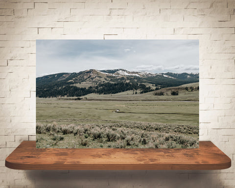 Yellowstone Photograph