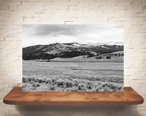 Yellowstone Photograph Black White