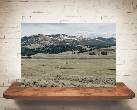 Yellowstone Photograph